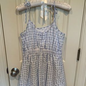 Blue and White Gingham Madewell Dress